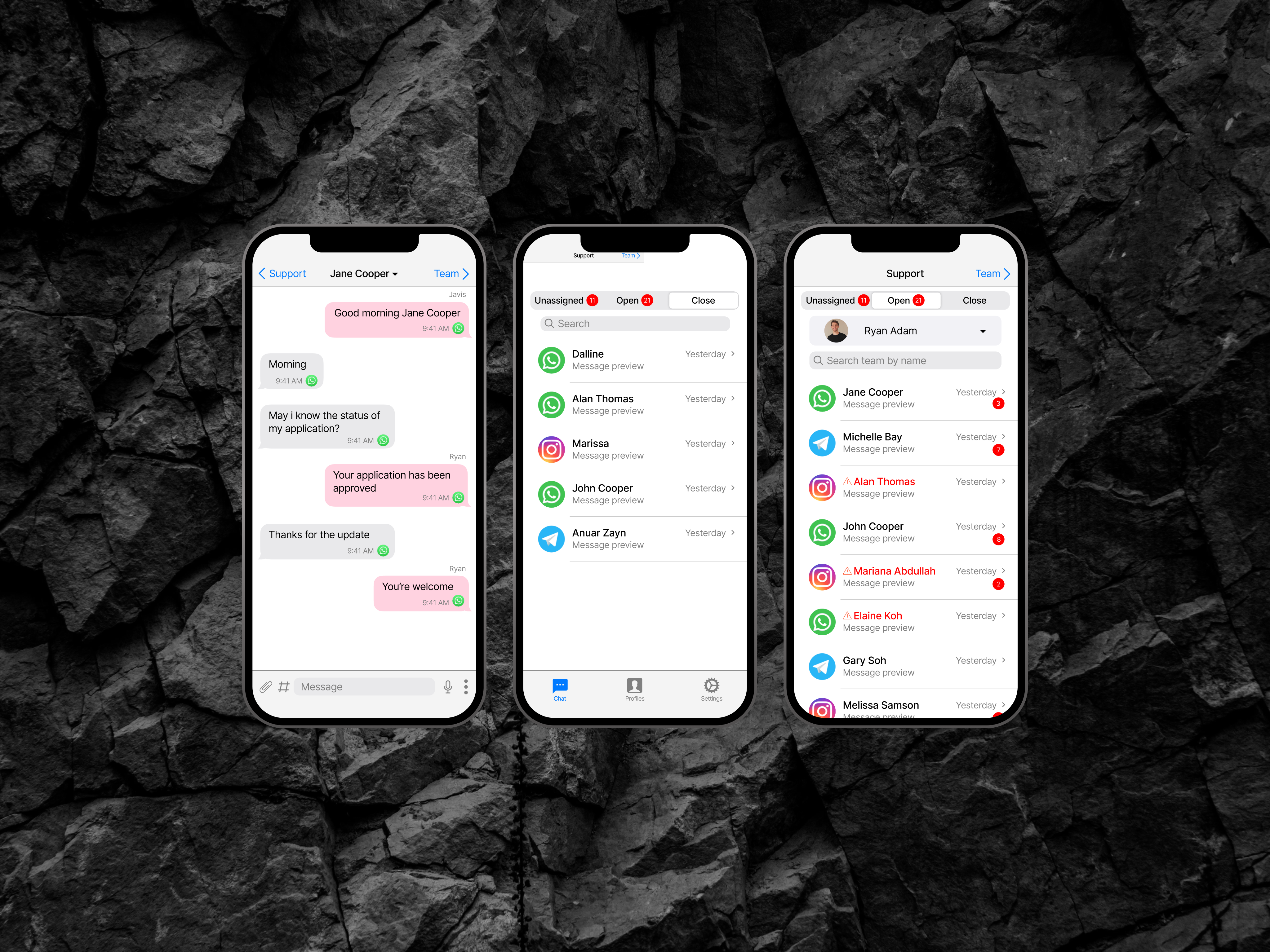 Rych project preview